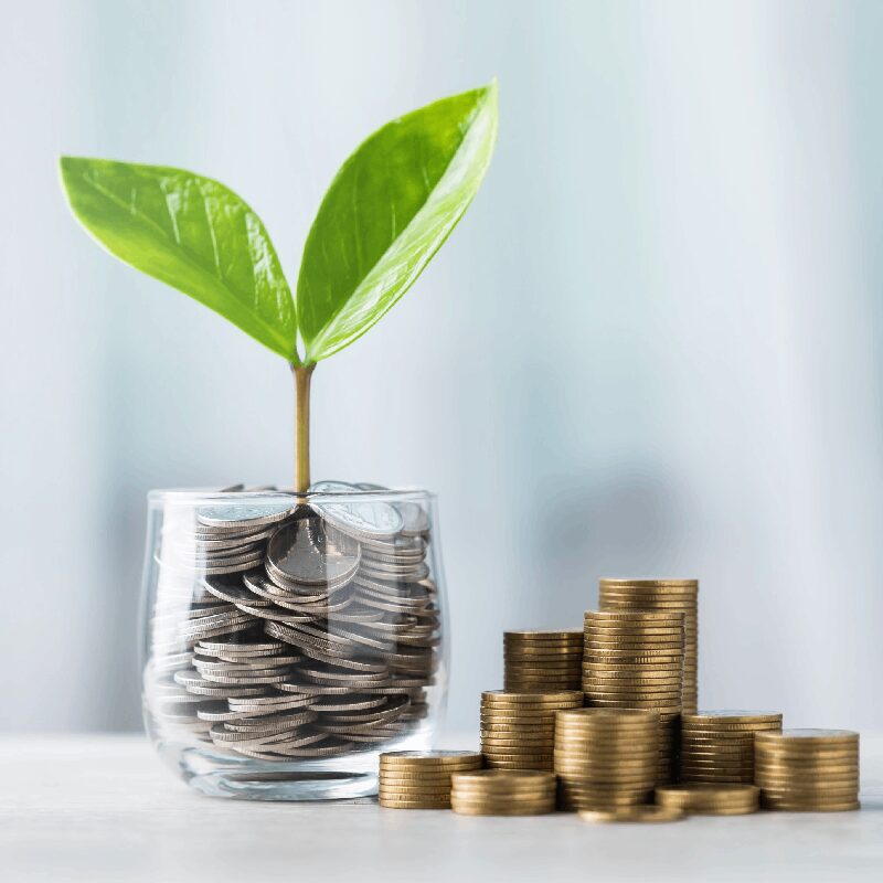 Plant growing in a glass of coins.